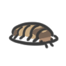 only isopod image